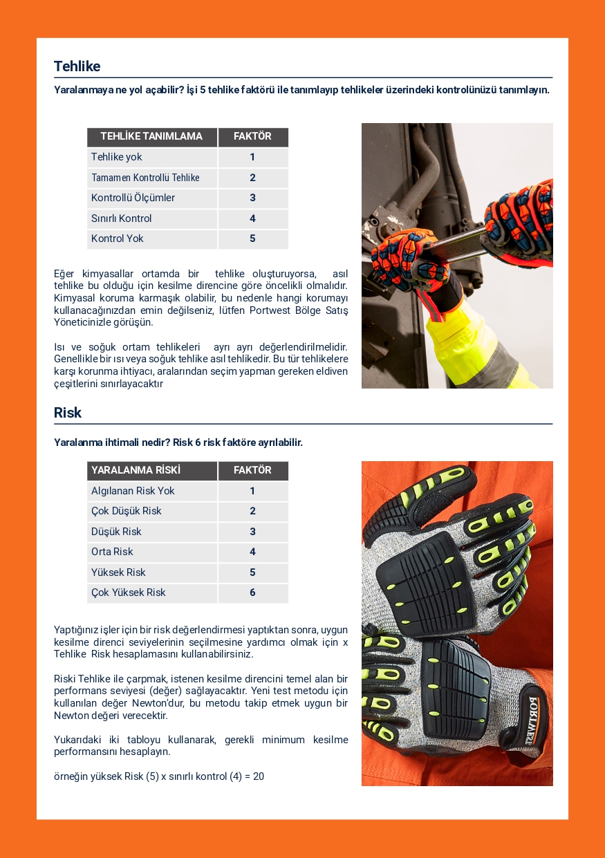 ELDİVEN SEÇME KILAVUZU_pages-to-jpg-0003