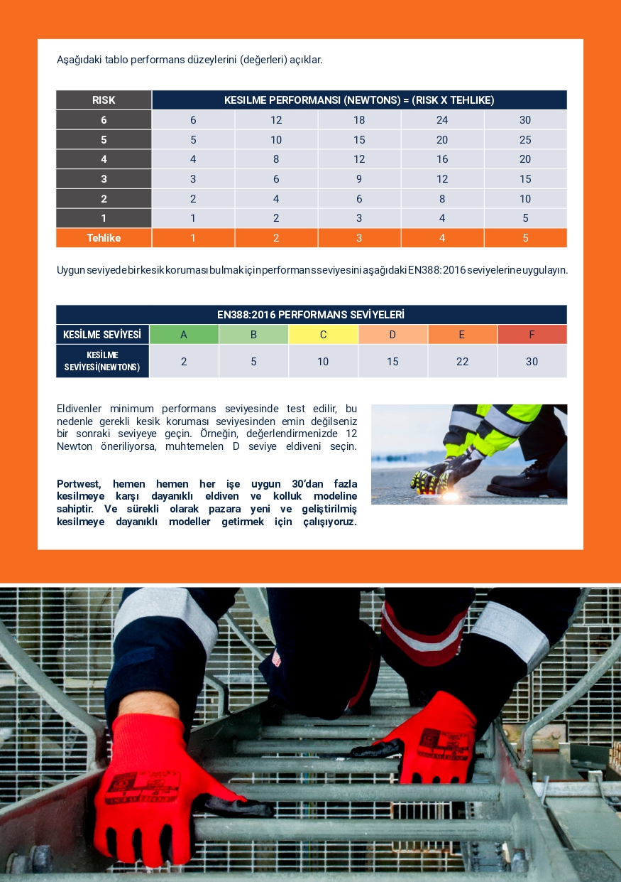 ELDİVEN SEÇME KILAVUZU_pages-to-jpg-0004